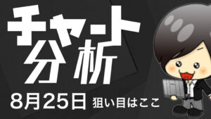 チャート分析（8月25日)　今日の狙い目はココ！！