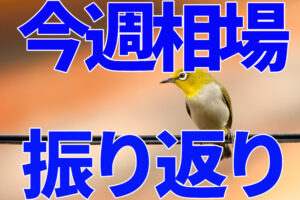 【FX】今週（11月22日〜11月26日）の相場の後付け解説！！